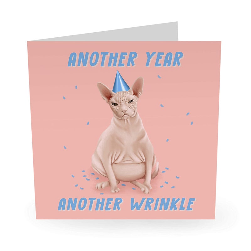 CENTRAL 23 - Funny Animal Birthday Card - â€œSphynx Cat Another Year Another Wrinkleâ€ - For Men & Women - Mom Dad Husband Wife Brother Sister 21st 25th 30th 40th 50th 60th - Comes with Fun Stickers - Image 2